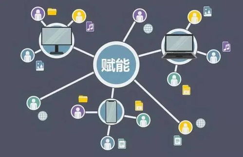 从管控到赋能 企业管理的范式革命